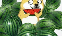 最近比较劲爆的大瓜 网红热瓜,最新劲爆热瓜盘点，揭秘幕后真相