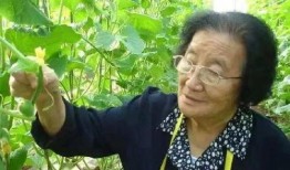 黑料不打料入口 电影下载 吃瓜网官网免费观看,吃瓜网官网免费观影攻略