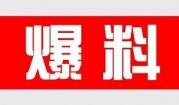 最新爆料 有料网官方网站,官方网站独家揭秘！