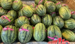 网红黑料 热门大瓜往期内容,热门大瓜往期内容大盘点