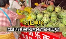 吃瓜炸裂,揭秘娱乐圈幕后真相